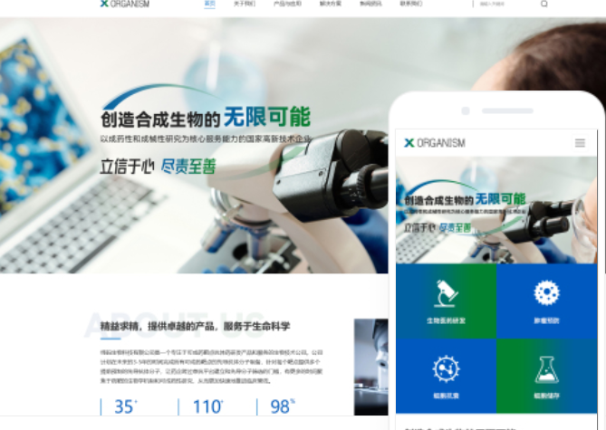 成都網(wǎng)站建設(shè)方案